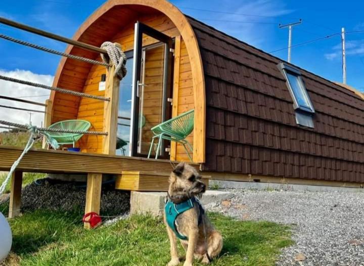 فندق The Sleepy Crofter Glamping - أكيلتيبوي المظهر الخارجي الصورة